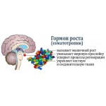 Как стимулировать выброс гормона роста? 