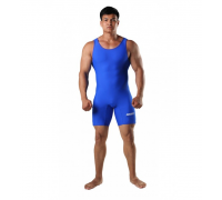Мужское спортивное трико синее BERSERK SPORT