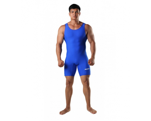 Мужское спортивное трико синее BERSERK SPORT