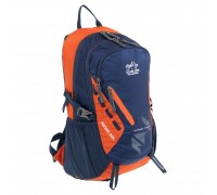 Рюкзак спортивный с жесткой спинкой COLOR LIFE TY-1954 17л Синий-оранжевый