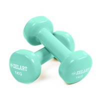 Гантели для фитнеса с виниловым покрытием Zelart Beauty TA-5225-1 2шт 1кг Мятный