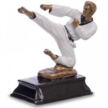 Статуэтка наградная спортивная Карате Каратист SP-Sport C-1835-B11