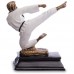 Статуэтка наградная спортивная Карате Каратист SP-Sport C-1835-B11