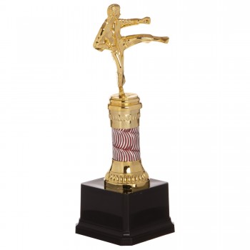 Награда спортивная SP-Sport C-C3580-10 Карате золотой