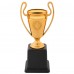 Кубок спортивный наградной SP-Sport Enigma XG005 высота 21см Золотой