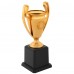 Кубок спортивный наградной SP-Sport Enigma XG005 высота 21см Золотой