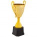 Кубок спортивный наградной SP-Sport Mazer 137F высота 24см Золотой