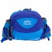 Сумка поясная COLOR LIFE WAIST BAG TY-5335 Голубой Сумка поясная COLOR LIFE WAIST BAG TY-5335 Голубой