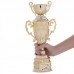 Кубок спортивный с ручками и крышкой SP-Sport ARES HB4127A высота 53см золотой