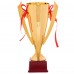Кубок спортивный с ручками SP-Sport REWARD C-5007A высота 36см золотой