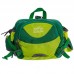 Сумка поясная COLOR LIFE WAIST BAG TY-5335 Салатовый Сумка поясная COLOR LIFE WAIST BAG TY-5335 Салатовый