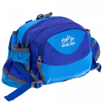 Сумка поясная COLOR LIFE WAIST BAG TY-5335 Синий Сумка поясная COLOR LIFE WAIST BAG TY-5335 Синий