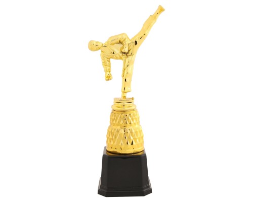 Фигура наградная спортивная SP-Sport Каратист JZ19517B высота 25,5см золото