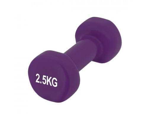 Гантель вінілова PowerPlay 4125 Achilles 2.5 кг. Фіолетова (1шт.)