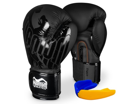 Боксерські рукавиці Phantom Germany Eagle Black 10 унцій (капа в подарунок)
