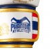 Боксерські рукавиці Phantom Muay Thai Gold Limited Edition 12 унцій (капа в подарунок) Боксерські рукавиці Phantom Muay Thai Gold Limited Edition 12 унцій (капа в подарунок)