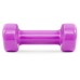 Гантелі вінілові PowerPlay 4125 Achilles 2*0,5 кг. Рожеві ( пара 2шт.)