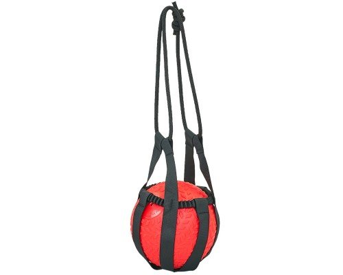 Слинг для медболов Tornado Ball Bag Zelart FI-5744 (нейлон, l-1,5м, черный)