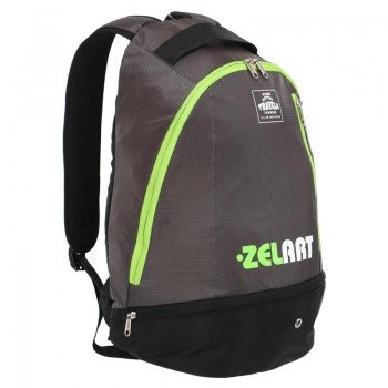 Рюкзак спортивный Zelart 20л GA-9286 (нейлон, р-р 43х29х17см, цвета в ассортименте)