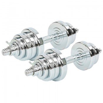 Гантели разборные стальные хромированные SP-Sport TA-8054-25 (2x12,5кг) (2грифа l-40см, (2,5+1,75+1)х4))