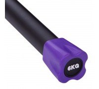 Бодибар Body Bar FI-1251-6 6кг (l-1,22м, d-35мм, металл, неопрен, PU)