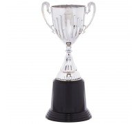 Кубок спортивный наградной SP-Sport Aim C-4522 (пластик, h-22см, b-10см, d чаши-6,5см, цвета в ассортименте)